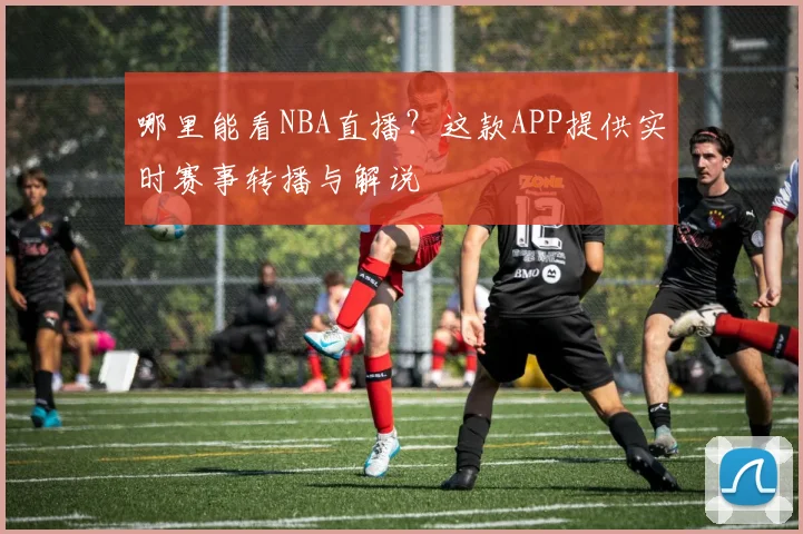 哪里能看NBA直播？这款APP提供实时赛事转播与解说